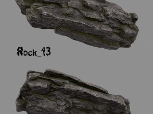 forest rock 3D Modell