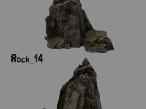 forest rock 3D Modell