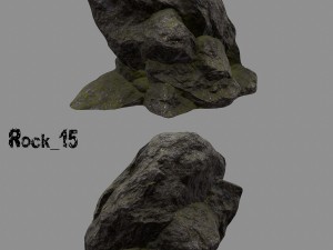 forest rock 3D Modell