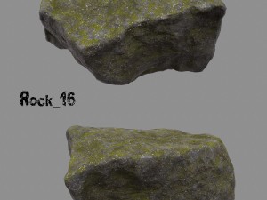 forest rock 3D Modell