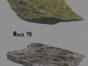 forest rock 3D Modell