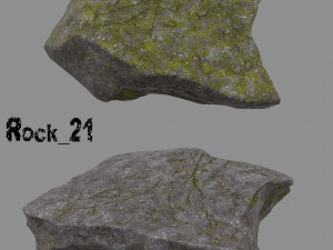 forest rock 3D Modell