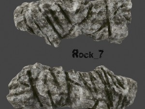 old forest rock 3D Model