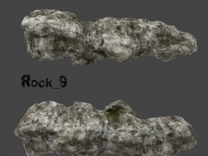 old forest rock 3D Model