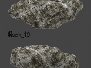 old forest rock 3D Model