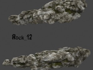old forest rock 3D Model