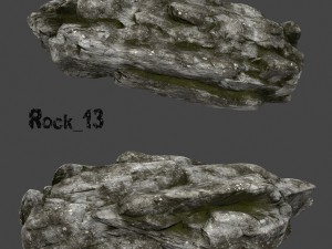 old forest rock 3D Model