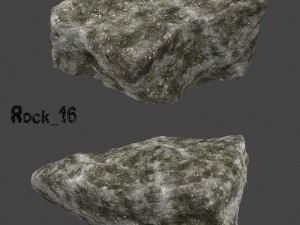 old forest rock 3D Model