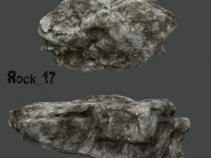 old forest rock 3D Model