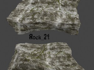 old forest rock 3D Model