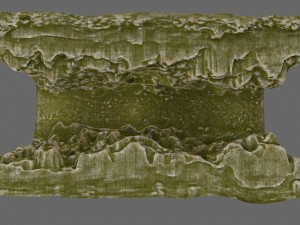 mossy canyon 3D Модель