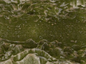 mossy canyon 3D Модель