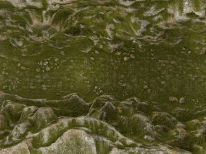 mossy canyon 3D Model
