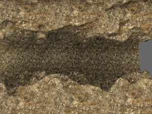 canyon 6 3D Model
