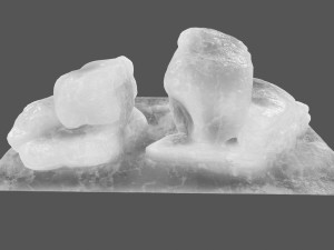 ice rock 3D मॉडल
