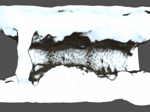 snow canyon Model 3D