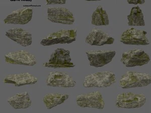 лісові породи 1 3D Модель