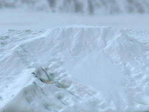 snow terrain 3D Model