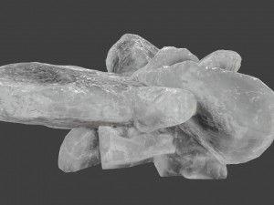 ice rocks 3D 모델