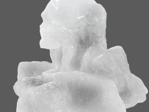 ice skull cave Modèle 3D