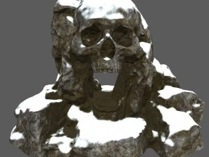 snow skull cave 3D Model