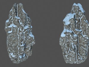 snow rocks 3D Model