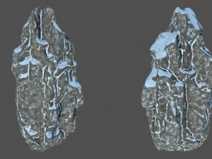 snow rocks 3D Model