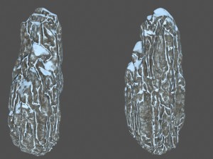 snow rocks 3D Model