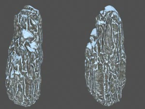 snow rocks 3D Model