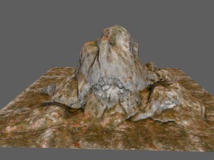 rocks 3D मॉडल