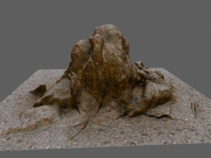 rocks 3D Model