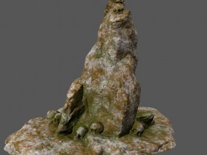 skull 3D-Modell
