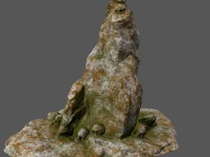 skull 3D Model