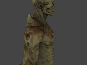 monster 3D Model