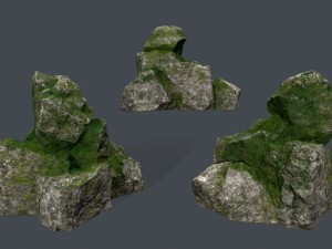 forest rocks 3D Model