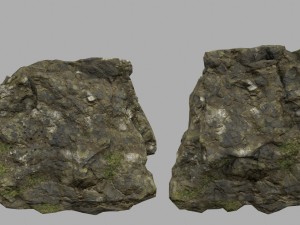 forest rocks Modelo 3D
