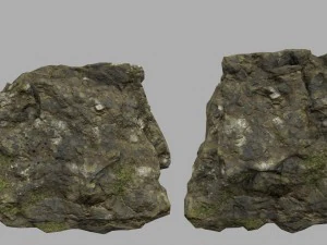 forest rocks 3D Model