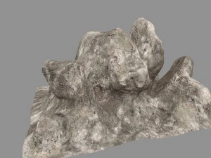 rock 3D Model
