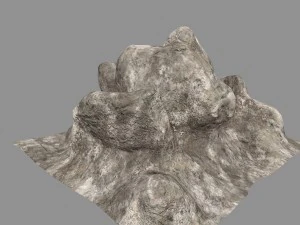 rock 3D Model
