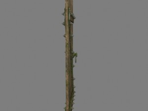 medievaldoor 3Dモデル