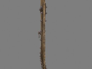 medievaldoor Modèle 3D
