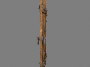 medievaldoor 3D Model