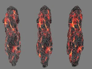 lava rocks 3D Model