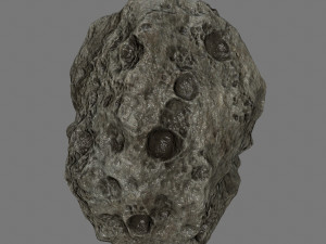 asteroid Modèle 3D