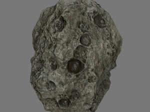 asteroid 3D Model