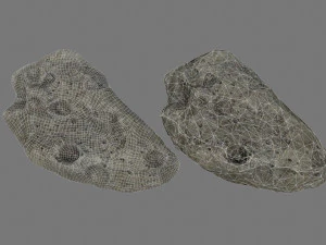 asteroid 3D Model