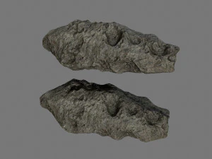 asteroid 3D Model