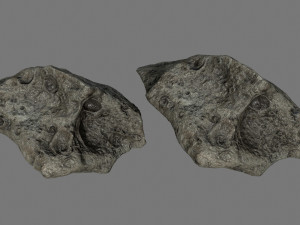 asteroid Modèle 3D