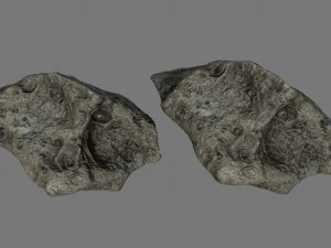asteroid 3D Model