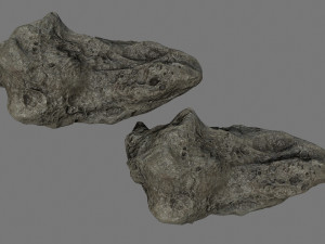 asteroid Modèle 3D